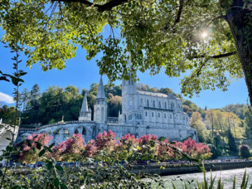 Témoignage suite au pèlerinage du Rosaire à Lourdes, du 2 au 6 octobre 2024